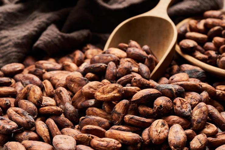 Cocoa beans