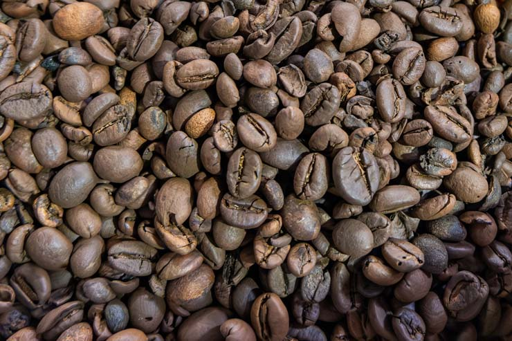 Robusta beans